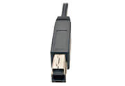 USB 3.0 B (Male)